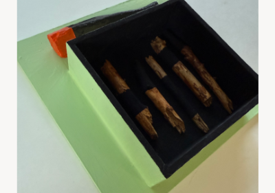 Wall-mounted assemblage on pale green wood, with a charred branch capped in orange resting above a black recessed box holding six upright sticks painted black and natural wood in bands.
