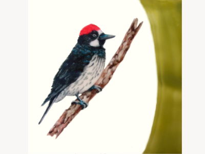 encaustic painting of a woodpecker with a red cap perched on a branch, set against an olive-green ground.