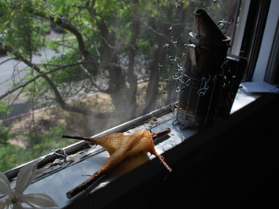Hive smoker and piece of honeycomb on a windowsill, See installation
