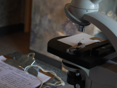 Close-up of a microscope with a dead bee on the slide, notebook open beside it