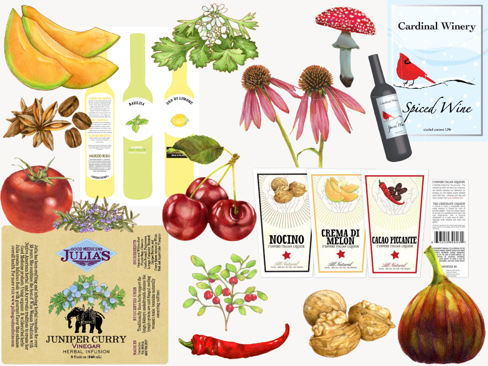 Product label illustrations and designs for wine, herbal liqueurs, and infused oils, featuring hand-drawn botanical elements including mushrooms, coneflowers, cherries, figs, and chili peppers alongside finished label mockups for Cardinal Winery, Julia's herbal vinegar, and a set of Italian liqueur labels.
