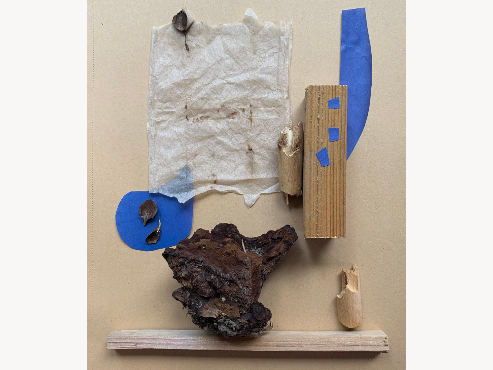 Temporary collage arrangement of a used tea bag, a strip of weathered bark, torn blue paper, a wood block with small blue paper squares, a burl-like brown form, and a knotted stick, laid out on cardboard.
